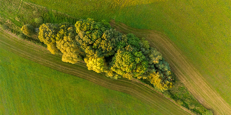 Acciones Climáticas