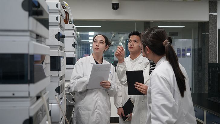 Desarrollo del Talento