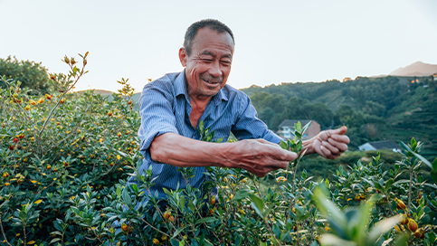La Industria Impulsa la Revitalización Rural
